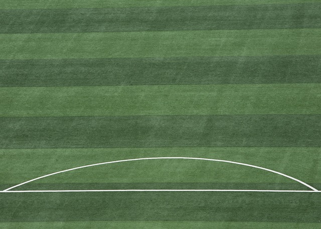 戰術穩定 戰術穩定